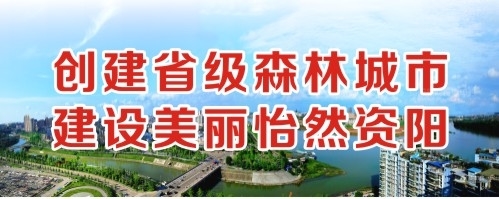 狂日小逼视频创建省级森林城市 建设美丽怡然资阳